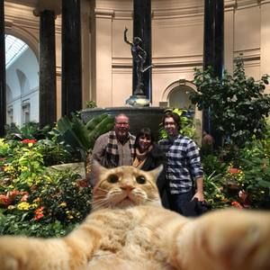 Meet your Posher, Kathy